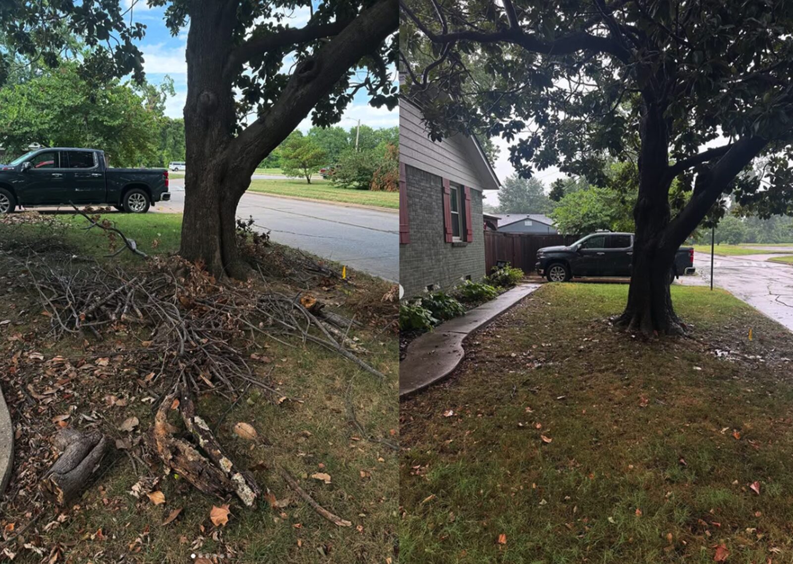 Tree limb and yard debris removal before and after